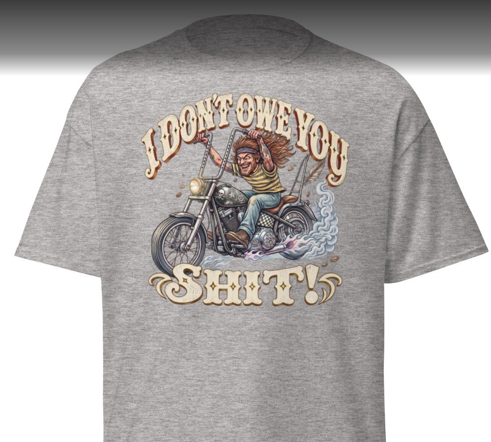 I Don't Owe You T-Shirt in gray - front view